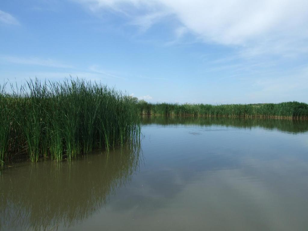 Ferienhaeuser Aura Sankt Andra am Zicksee Экстерьер фото