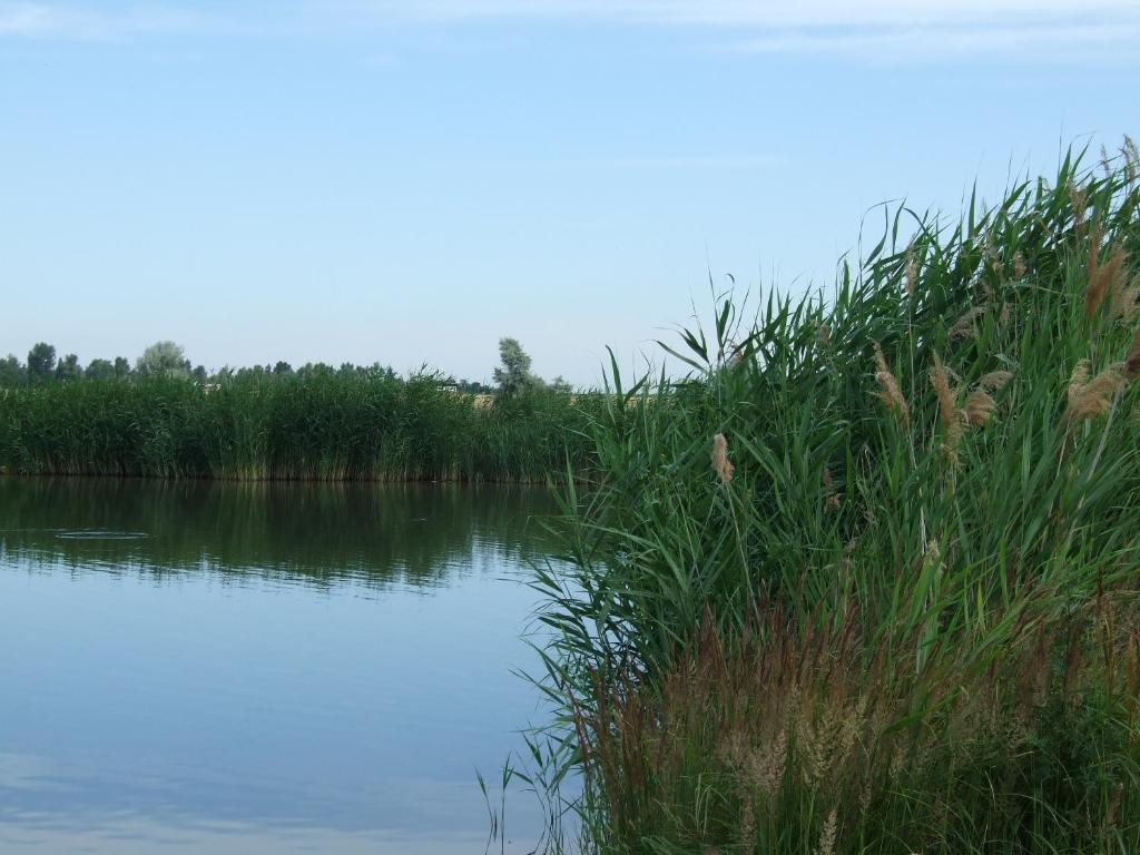 Ferienhaeuser Aura Sankt Andra am Zicksee Экстерьер фото